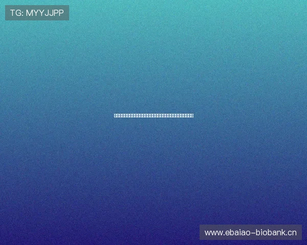 围绕星速官网打造一站式高效便捷服务平台的全新发展蓝图与未来展望